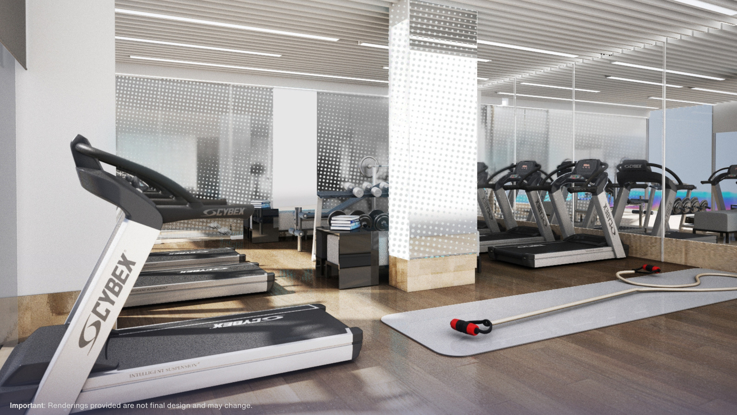Fitness Gym